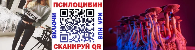 закладка  Ардатов  Псилоцибиновые грибы Magic Shrooms 